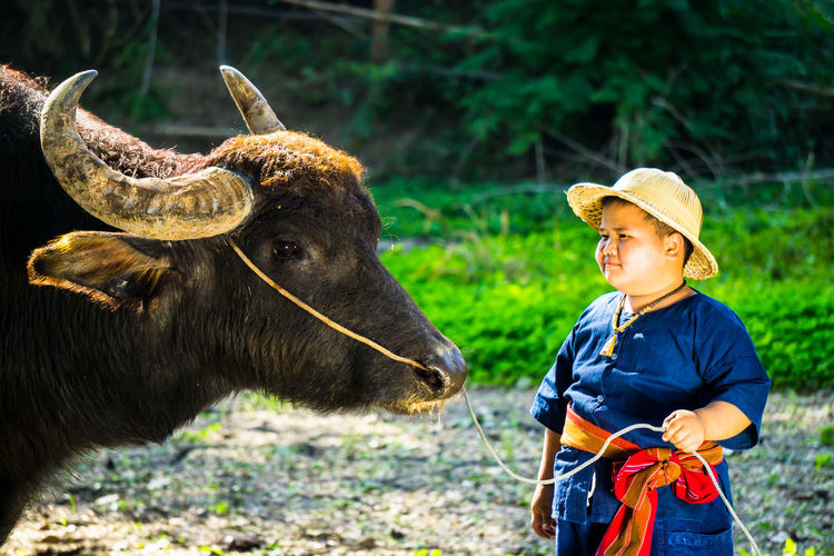 Boy standing by water buffalo on field