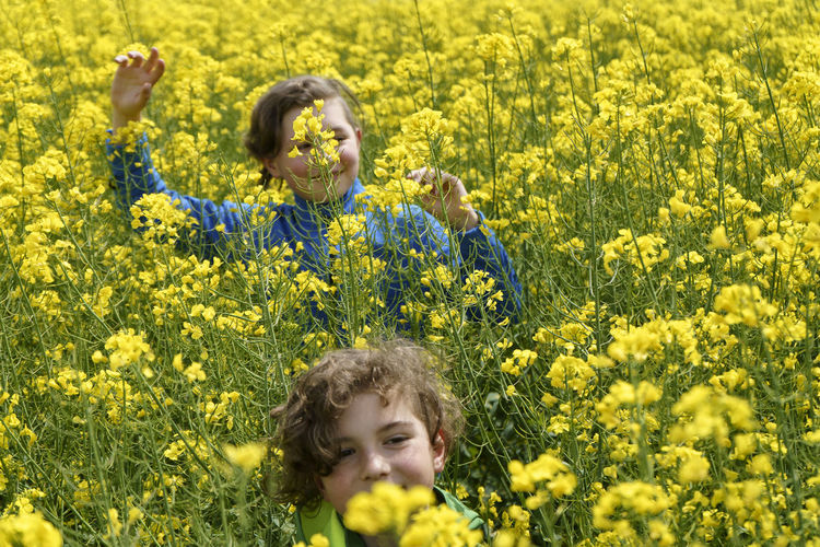 Kids have fun in blooming rapeseed field in spring