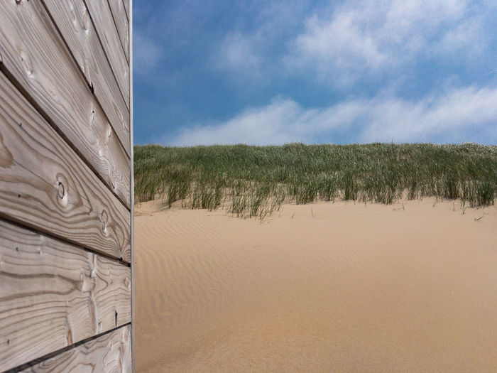 Summertime picture with gray patina wood in front of sand dunes and blue sky