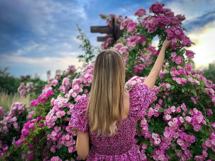 Rear view of woman with long blonde hair picking up pink roses from the garden on a cloudy day