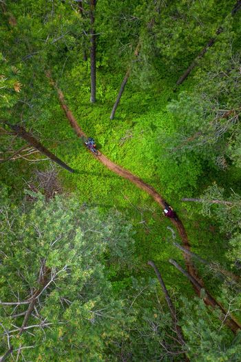Aerial view of mountain biker in lush green forest, klagenfurt, austria.