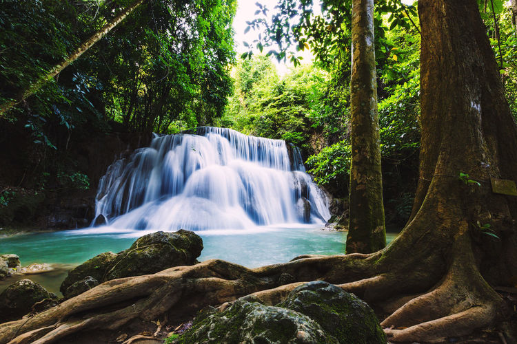Scenic view of waterfall in forest