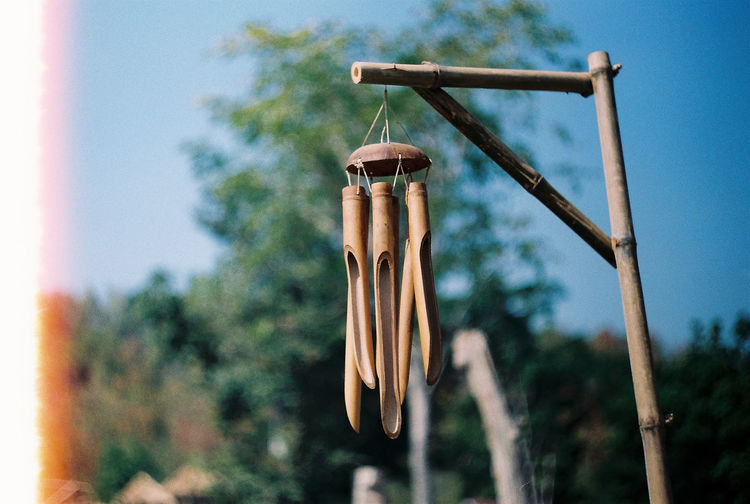 Bamboo bell