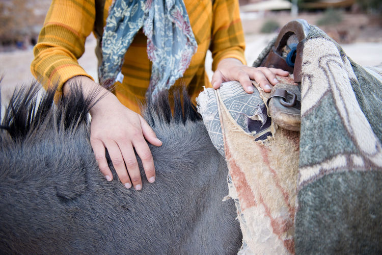 A female toursist makes a friend with a local donkey in petra.