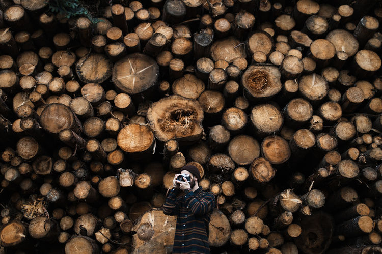 Unrecognizable male photographer with photo camera shooting picture while standing against stacked wooden logs during travel in autumn woodland