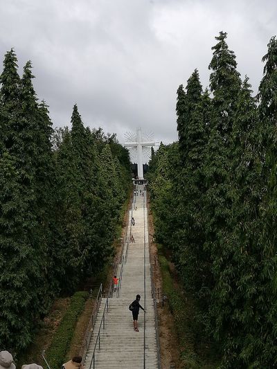 Low angle view of man standing on steps amidst trees
