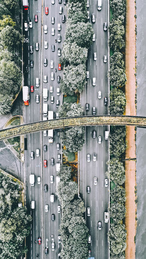 Directly above shot of bridge over road