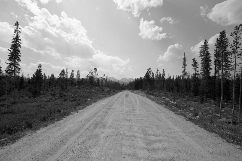 Road amidst trees against sky