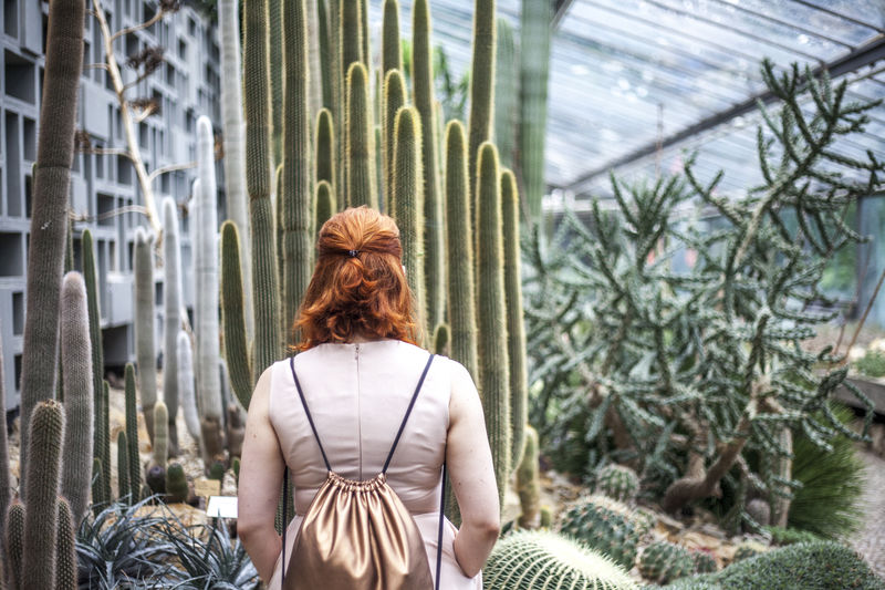 Cactus Cactus Garden Casual Clothing Copper Backpack Day Focus On Foreground Girl Green Color Growth Leisure Activity Lifestyles Looking At Things Plant Quiet Moments Quiet Places Red Hair Relaxed Woman