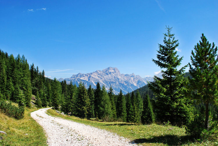 Footpath by trees against blue sky at dolomites