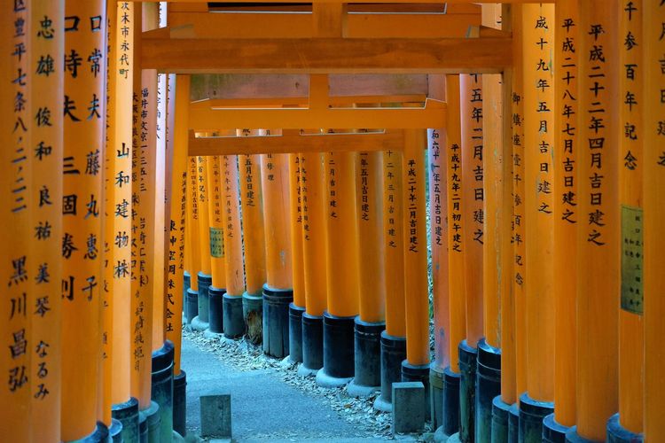 Torii gates at shrine