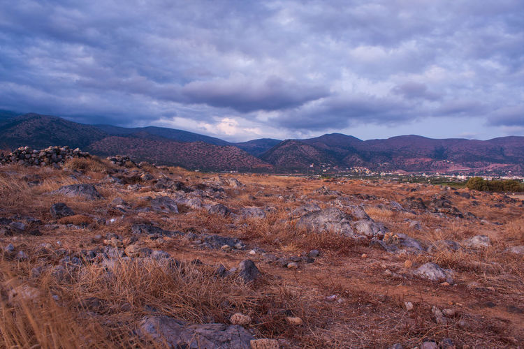 environment