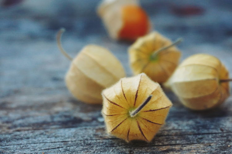 Close-up of winter cherries on table