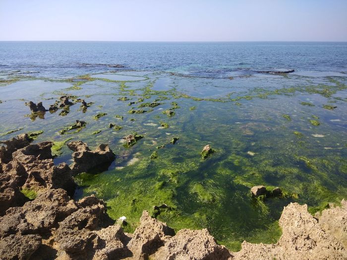 Scenic view of sea against clear sky