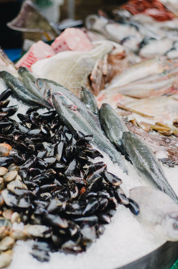 Close-up of seafood in market