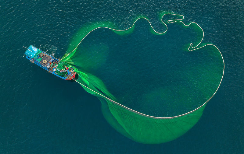 High angle view of leaf floating on sea