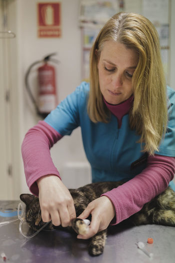 Professional veterinarian woman helping cat at table