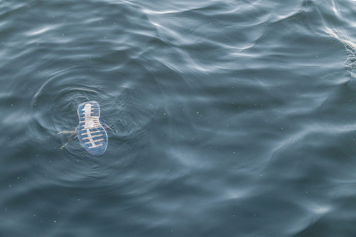 Image result for shoe floating on water