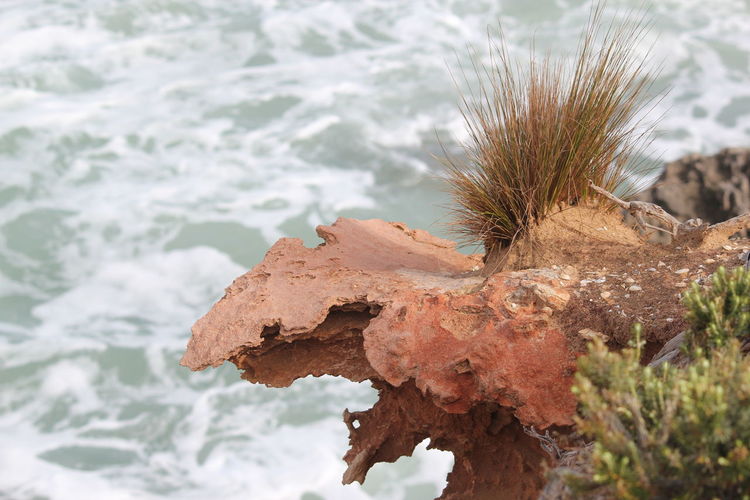 Close-up of rock against sea