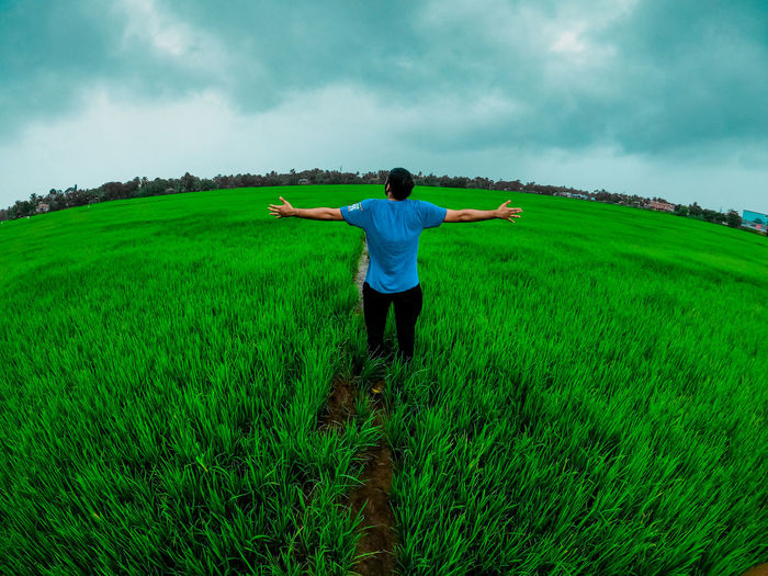 Rear view of man standing on agriculture field against sky