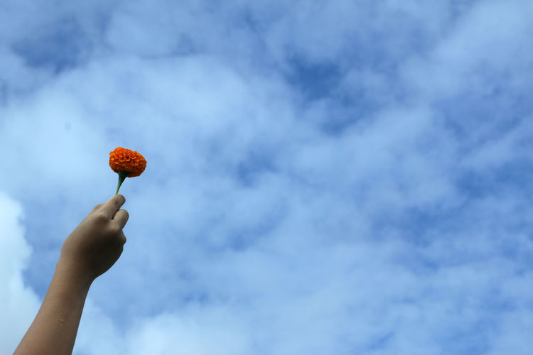 Low angle view of hand holding fruit against sky