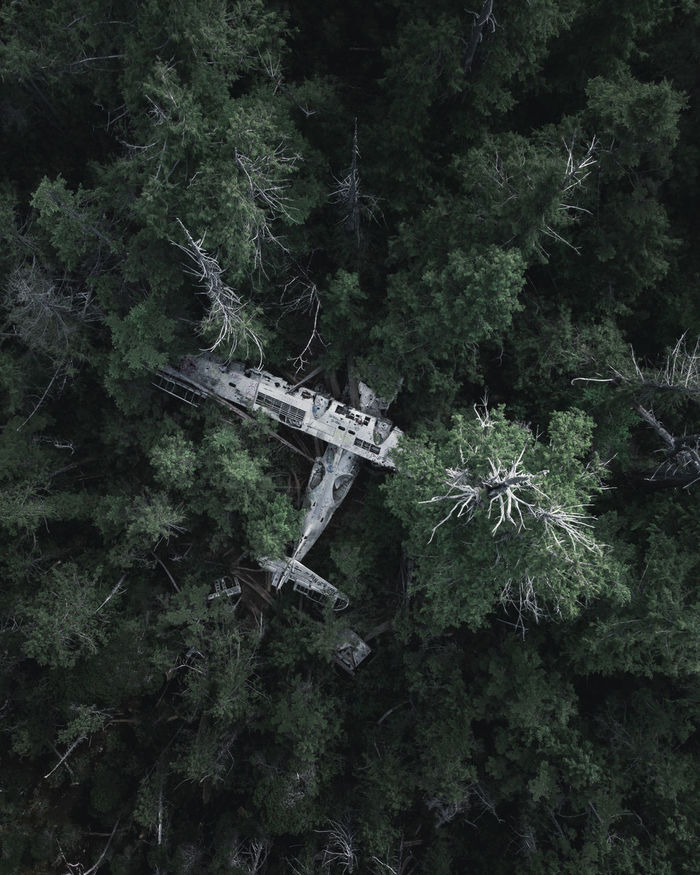 Aerial view of abandoned airplane amidst trees in forest