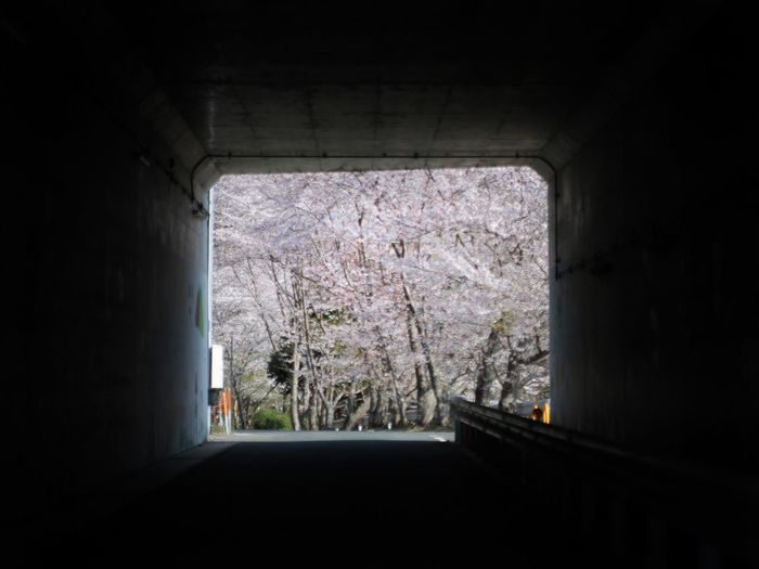 View of empty road through tunnel