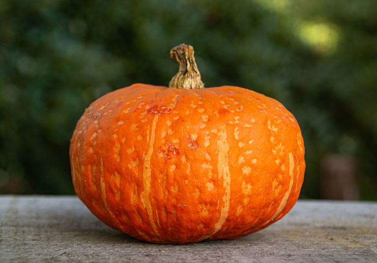 Close-up of orange pumpkins on table