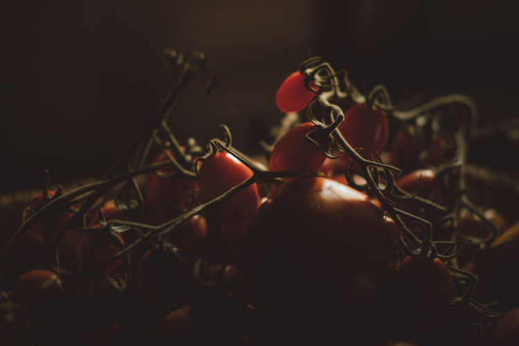 Close-up of red tomatoes in dark