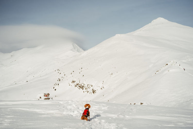 Rear view of woman walking on snow covered mountain