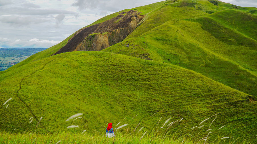 Scenic view of green landscape against sky