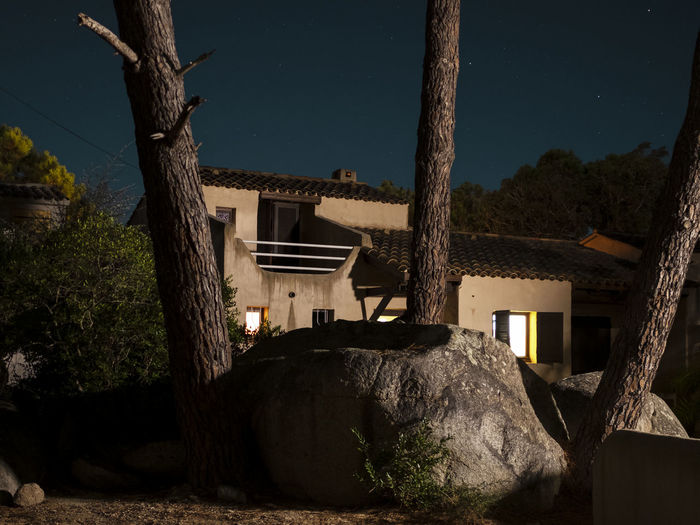 Houses by trees against sky at night