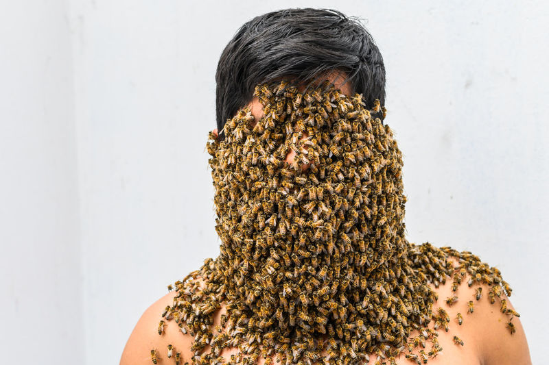 Beekeeper covered by bees
