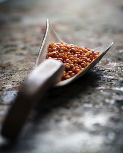 Close-up of red lentils in spoon
