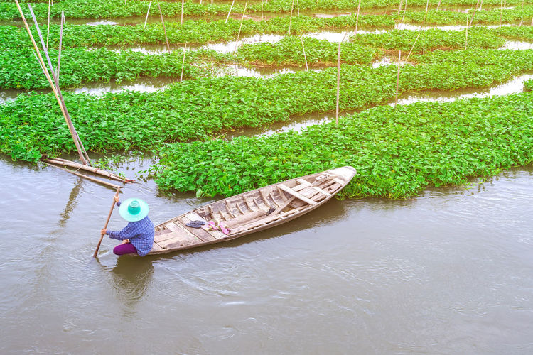 High angle view of man in boat on lake by plants
