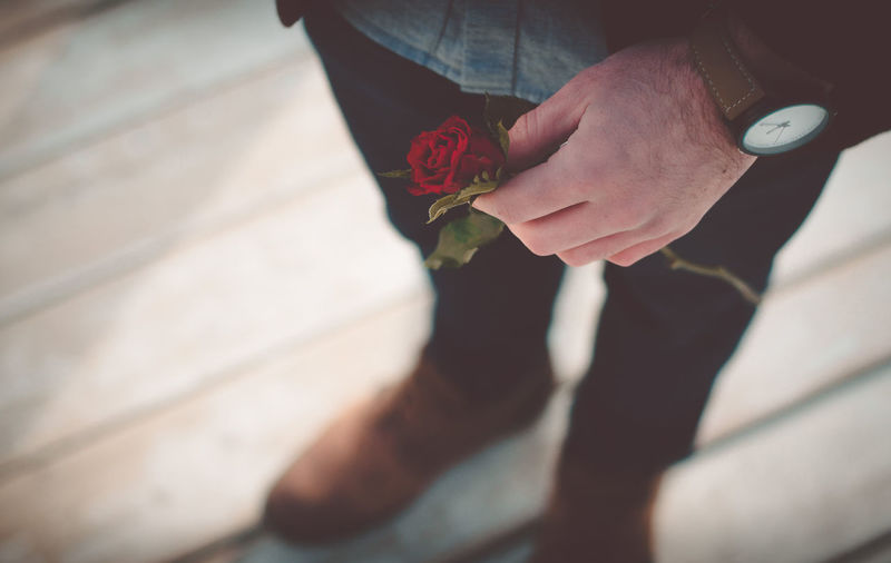Low section of man holding rose