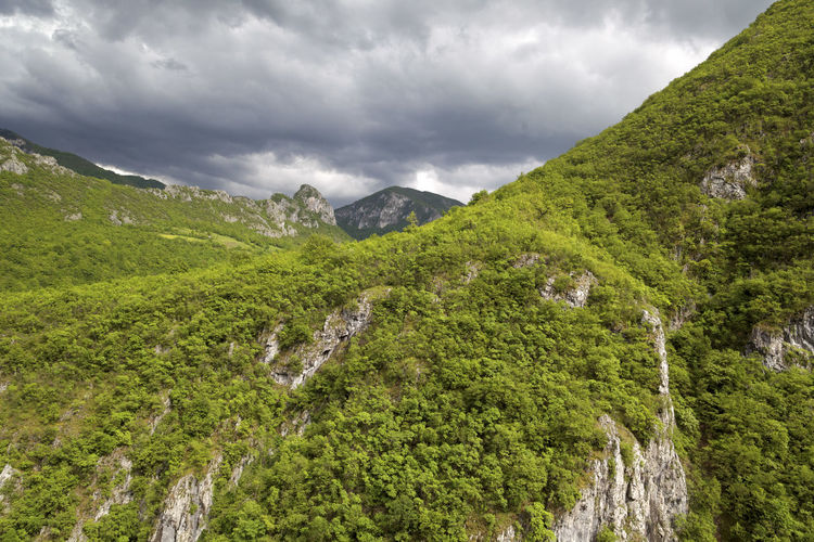 Scenic view of green mountains against sky