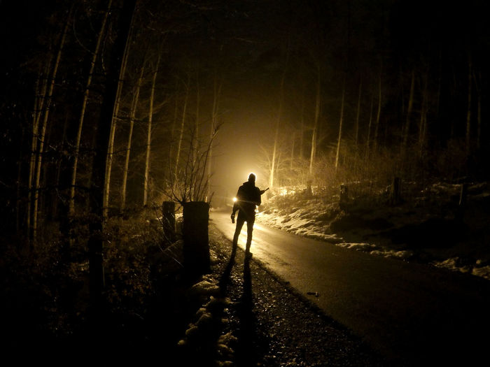Silhouette man standing on roadside in forest during winter at night