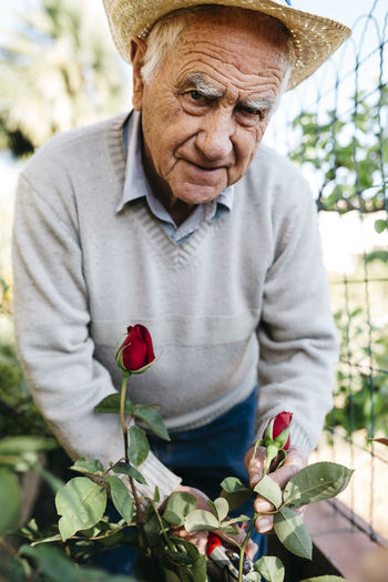 Portrait of senior man cutting rose in the garden