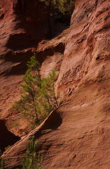 Rock formation on land