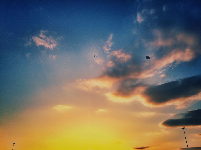 Low angle view of birds flying against sky during sunset