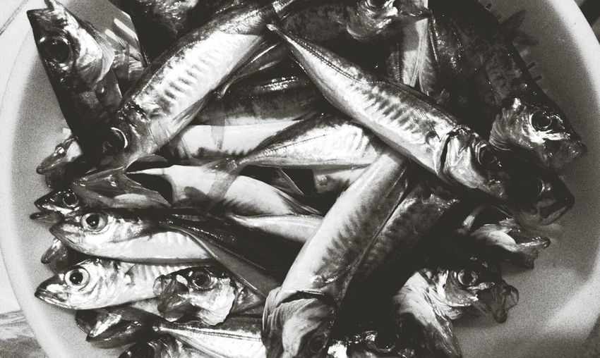 Close-up of fish for sale