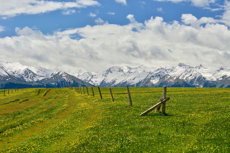 The endless, verdant kalajun prairie in xinjiang