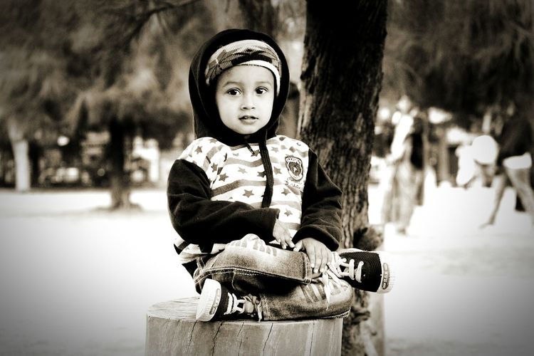 Portrait of cute boy sitting on tree stump