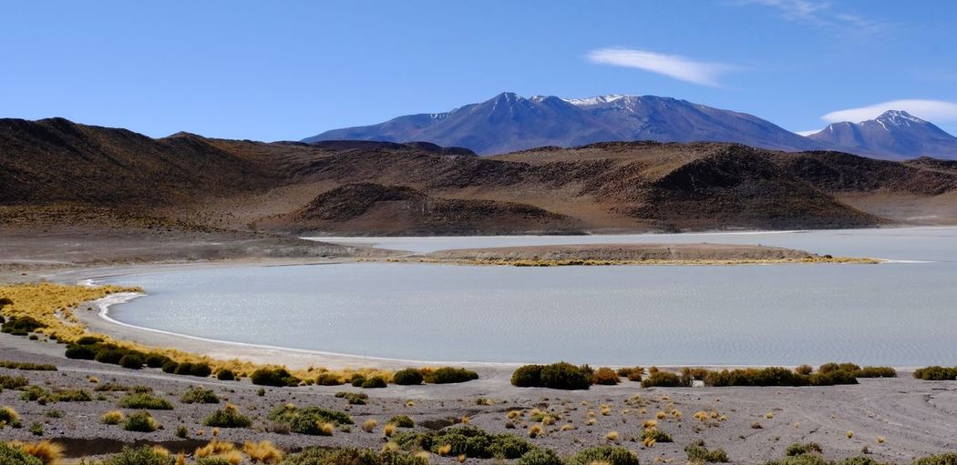 Bolivia laguna potosi