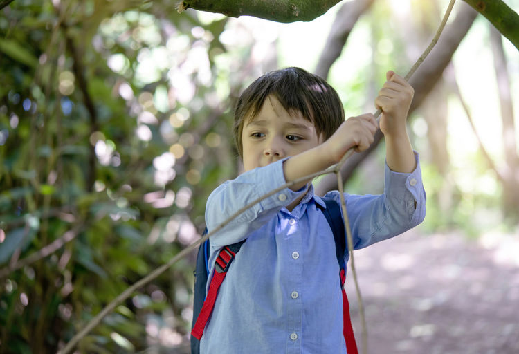 Close-up of boy holding branch in forest