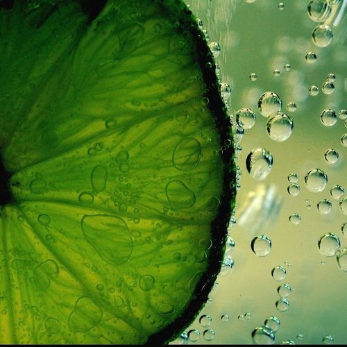 Close-up of water drops on leaf