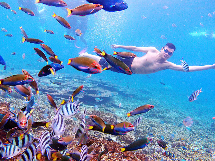 Young man swimming undersea