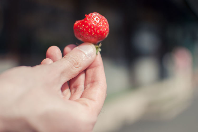 Cropped hand of man holding strawberry