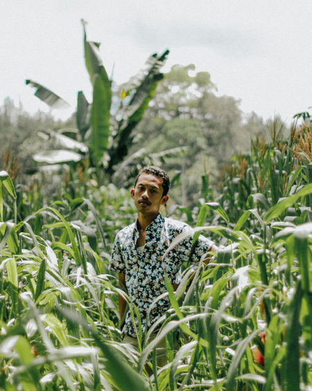 Portrait of young man standing amidst plants on agricultural field